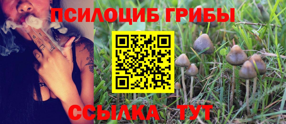 Псилоцибиновые грибы GOLDEN TEACHER  Вход с VPN  Реж 